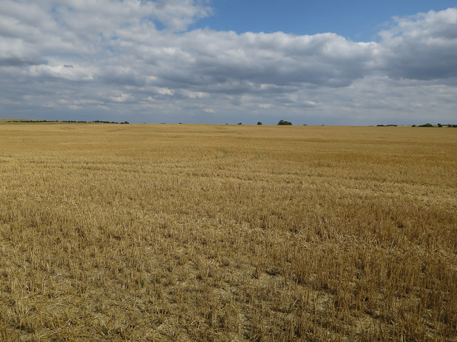 Stubble field © Hugh Venables cc-by-sa/2.0 :: Geograph Britain and Ireland