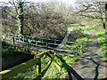 Footbridge over Mutton Brook