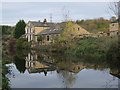 Whitecote with reflections