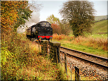 SD7919 : East Lancashire Railway near Irwell Vale by David Dixon