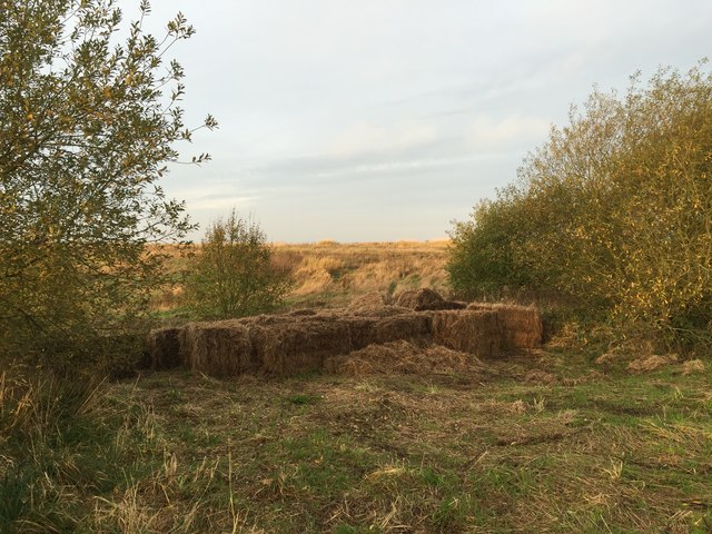 Silverdale Country Park: grass bales on Waste Farm Meadows