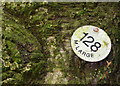 J4772 : Tree number, Killynether, Newtownards (October 2015) by Albert Bridge