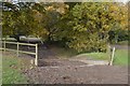 SJ8164 : Somerford Park Farm Ride (6) by Jonathan Hutchins