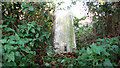 Triangulation pillar on Airfield Farm