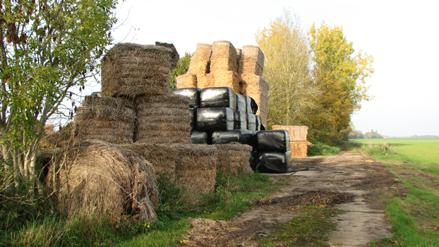 Straw and silage bales stored on hardstanding