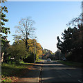 Barton: Comberton Road in autumn