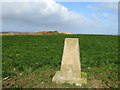 Field View at East Panson Triangulation Pillar