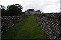 Track leading towards Crossgill Farm