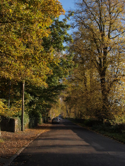 Old Luss Road