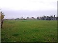 Grazing near Harelands