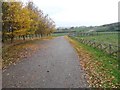 Road to Micklow Hill (footpath)