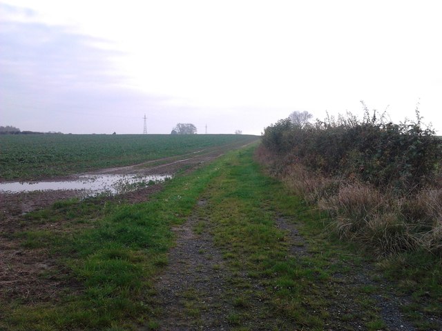 Farm track off Cycle Route 52