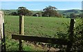 Crop across footpath, North Chideock