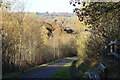 Path below Foxes Lane, Oakdale