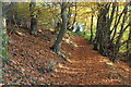 Woodland path up to Oakdale