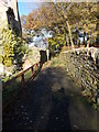 Footpath - Farley Crescent