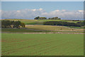 View towards a distant Windlass Hill