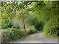 Track leading off Goodleigh Road