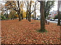 Fallen leaves, Roath Park, Cardiff