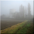 TL2756 : Great Gransden: water tower and poplars lost in mist by John Sutton