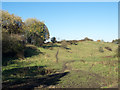 Rough grazing north of Marley Hill