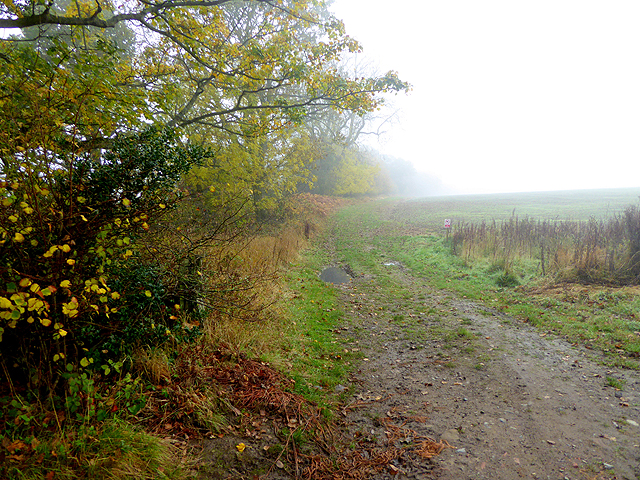 Bridleway at Harry's Hill