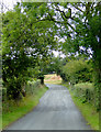 Farm driveway south of Llanrhystud in Ceredigion