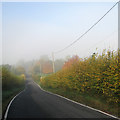 TL3257 : Caxton Road: mist clearing, blue sky above by John Sutton