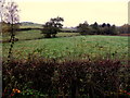 Greenan Townland