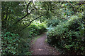 Coastal Path near Luccombe Village