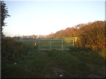 TQ2554 : Field entrance on Green Lane, Mugswell by David Howard