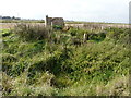 Remains of a Looker?s Hut