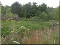 Wetland, Glen Aldie