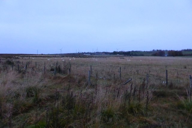 Rough pasture near Burnrig