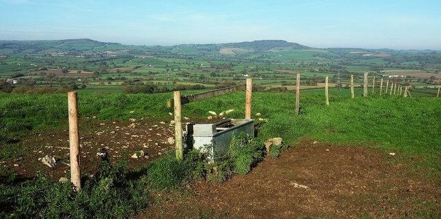 Drinking trough with a view, Coppet Hill