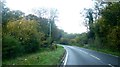 Sissinghurst Road near Hammer Mill Farm