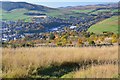 Galashiels from Blaikie