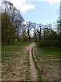 Footpath in The Carrs park