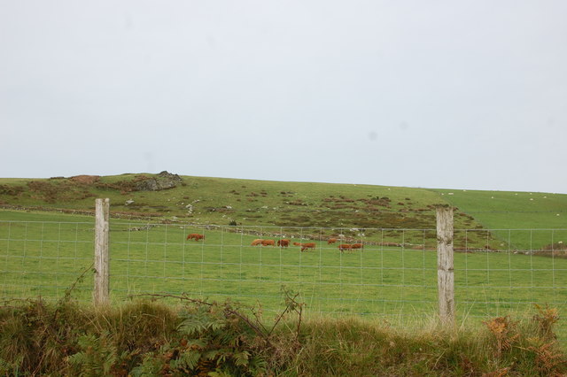 Pasture by the B4313