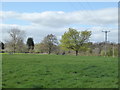 Field at Racecourse Farm Wilmslow