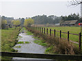 Ditch off Elstead Common