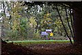 Road signs through the trees