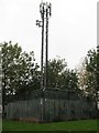 Telecommunication mast