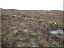 NH2519 : Boggy slope on Carn a' Choire Ghlais in Guisachan Forest by ian shiell