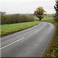SO0392 : Bend in the road north from Caersws by Jaggery