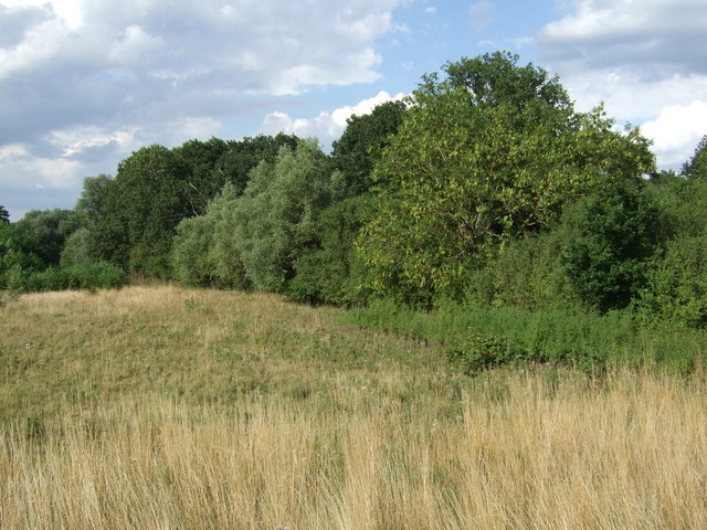 Woodland off Ampthill Road © JThomas :: Geograph Britain and Ireland