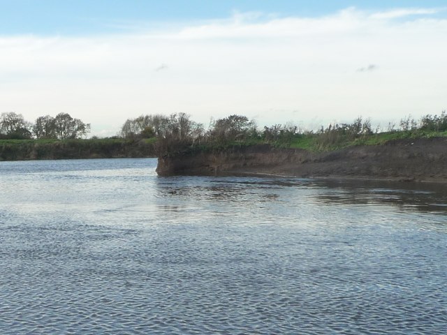 Undercut northern bank of the River Aire