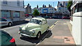 Moggie at the Seaside