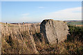 Braehead Recumbent Stone Circle (1)