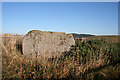 Braehead Recumbent Stone Circle (2)